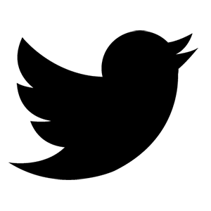 twitter profile